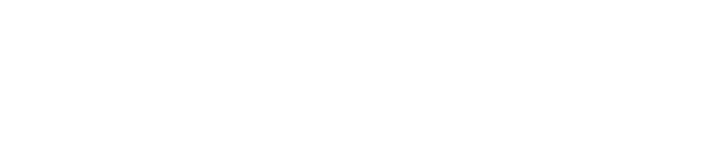 BMS Media